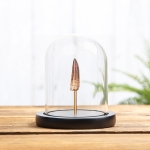Minibeast Small Spinosaurus Dinosaur Tooth Fossil In Glass Dome (Spinosaurus aegyptiacus)