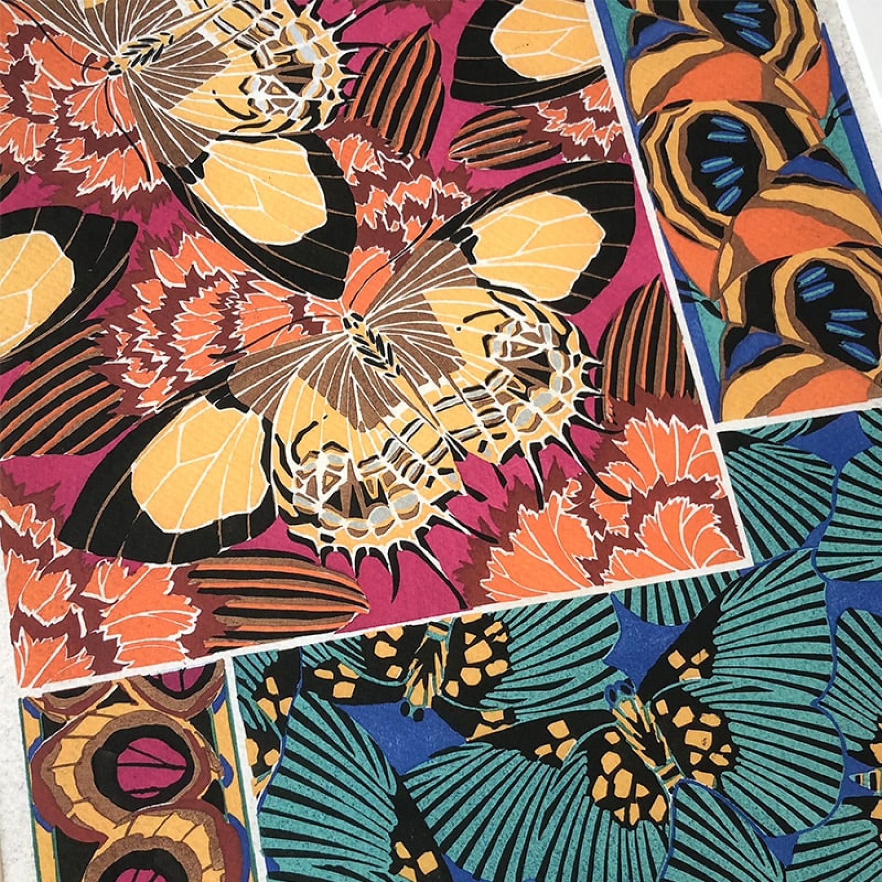 Vintage Entomology Giclee Print (Papilio Collage from 1925)