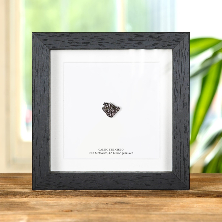 Campo del Cielo Meteorite 10-20g In Box Frame