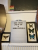 as11660760914sd4.jpg