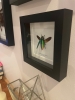 as11677677667sd4.jpg
