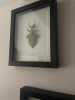 as11680591254sd4.jpg