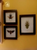 as11690671021sd4.jpg