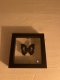 review-img