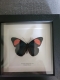 review-img