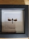 review-img