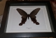 review-img