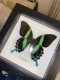 review-img