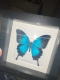 review-img