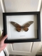 review-img