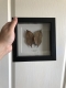 review-img