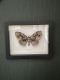 review-img