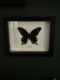 review-img