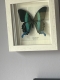 review-img