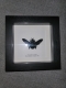 review-img