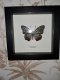 review-img
