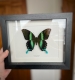 review-img