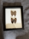 review-img