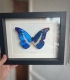 review-img
