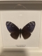 review-img
