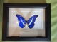 review-img