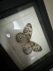 review-img