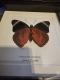 review-img