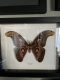 review-img