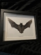 review-img