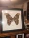 review-img