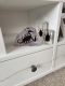 review-img
