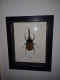 review-img