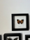 review-img