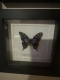 review-img