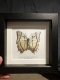 review-img