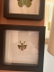 review-img
