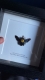 review-img