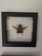 review-img