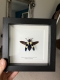 review-img