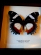 review-img