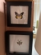 review-img