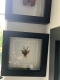 review-img