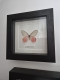 review-img