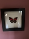 review-img