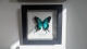 review-img