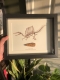 review-img