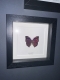 review-img