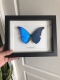 review-img