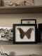 review-img