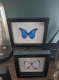 review-img